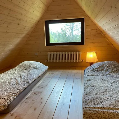 Daire Slonka Maly Nowica